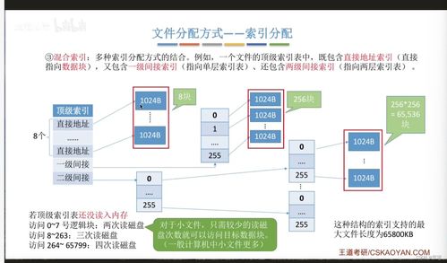 文件的物理結(jié)構(gòu) 數(shù)據(jù)處理與存儲支持服務的基石